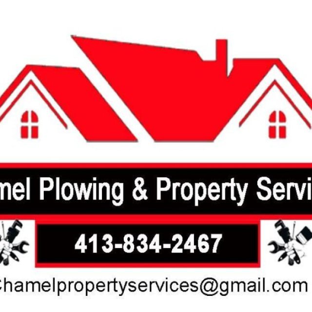 Hamel  property Services